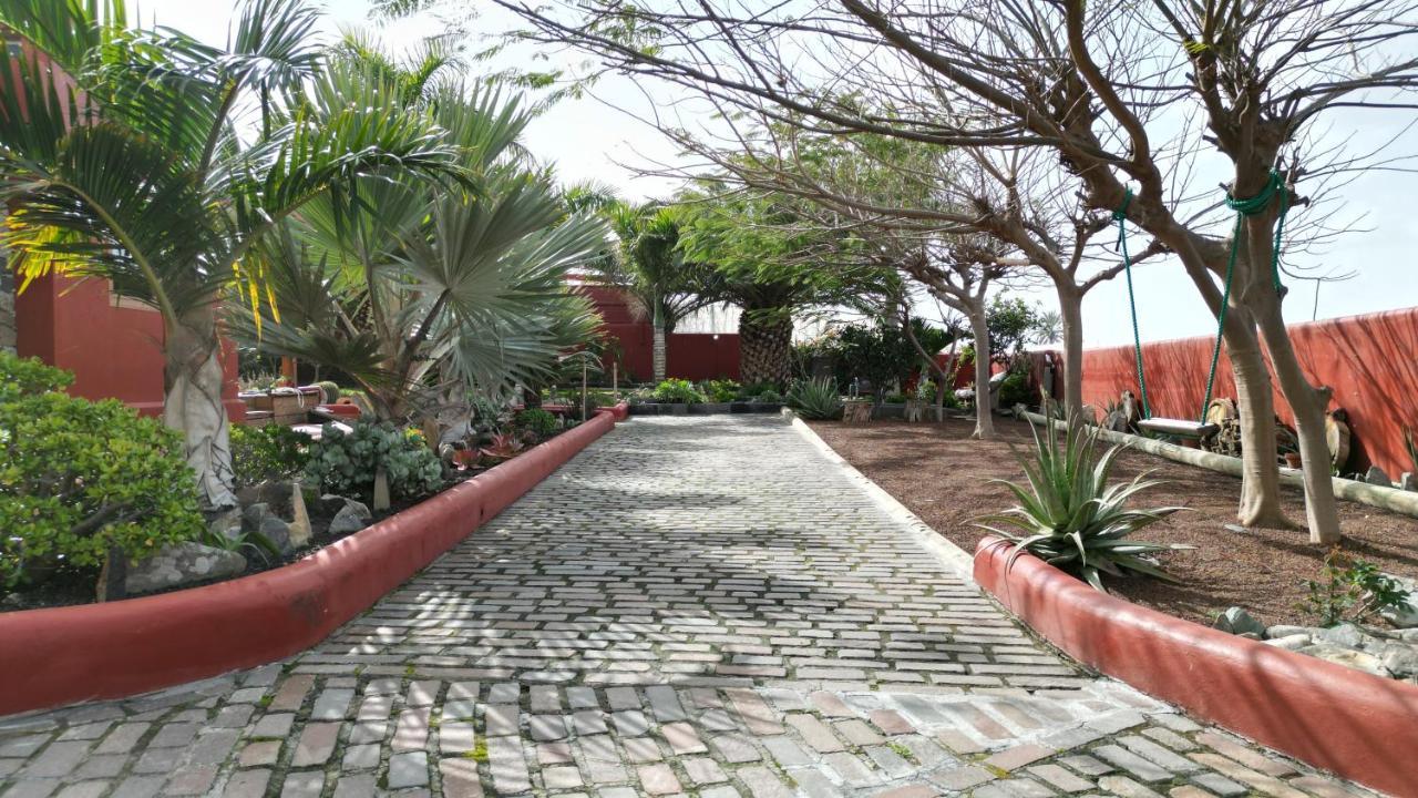 Papaya Cottage Punta Del Hidalgo Exteriör bild